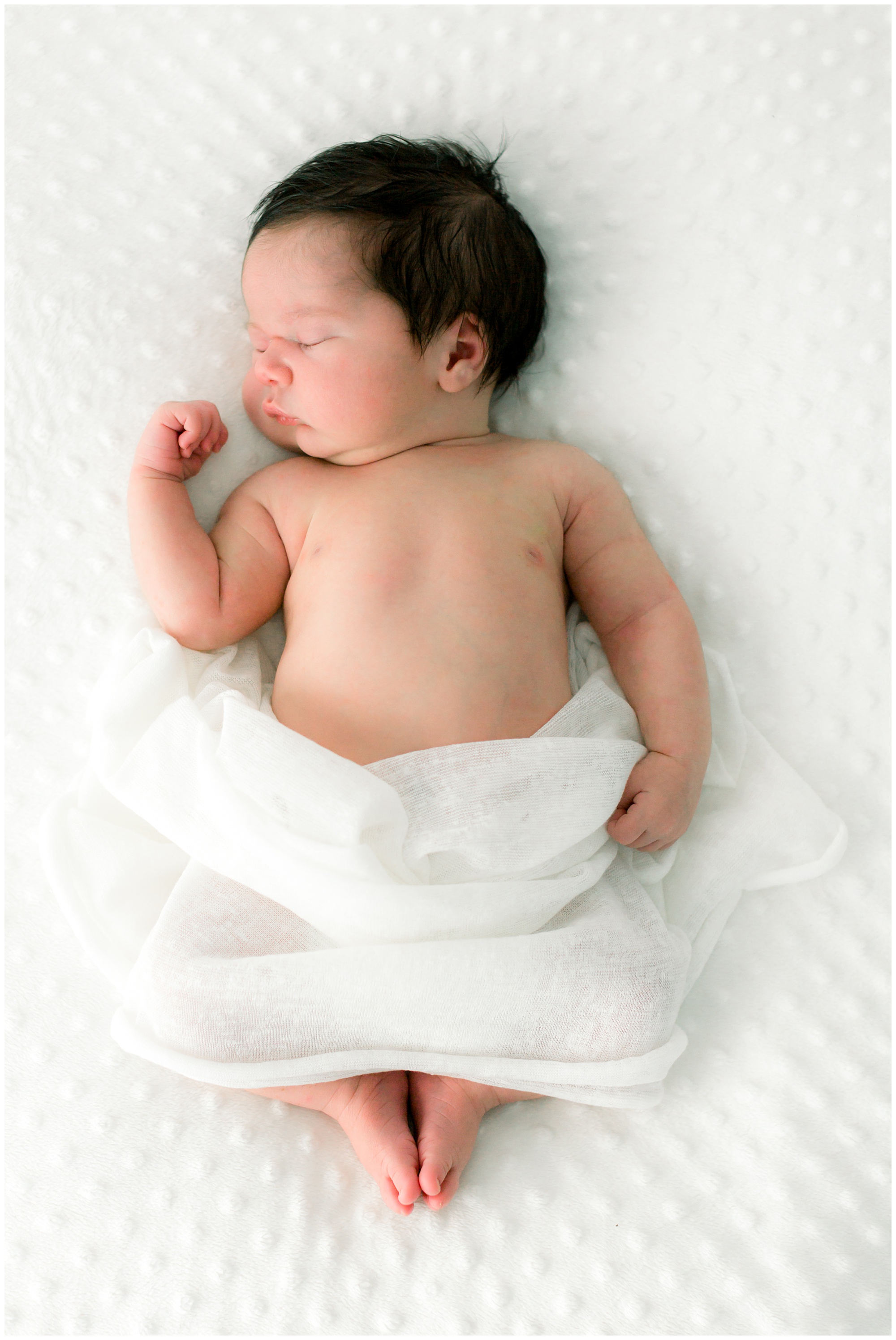 brisbane Newborn photography, newborn photographer Brisbane, tania wicks photography-20.jpg