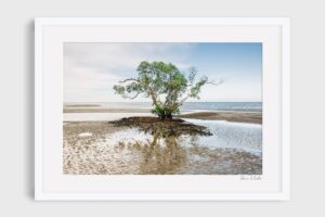 photography nudgee beach 5 - Escape