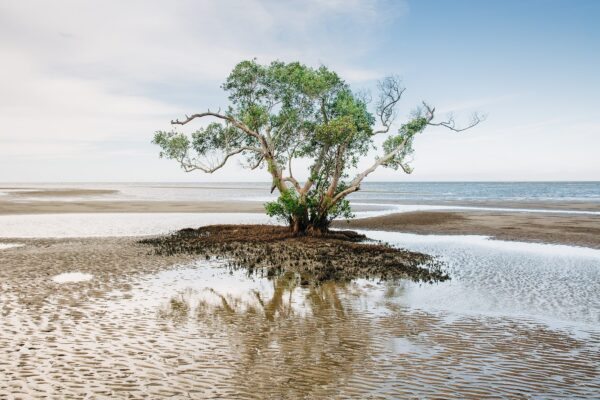 photograph Nudgee Beach 5 - Escape