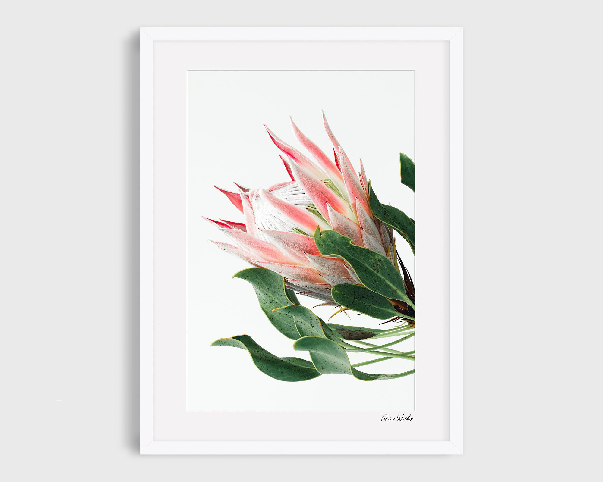 Framed flower print