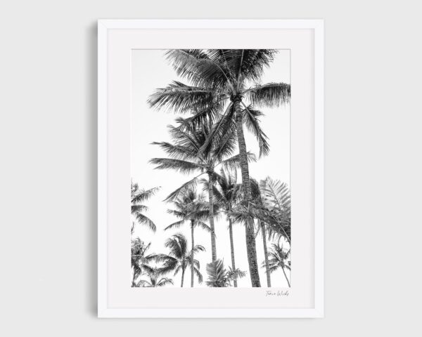 Hamilton Palms Black and White Print